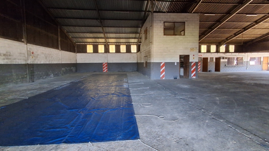 To Let Commercial Property for Rent in Wilsonia Eastern Cape